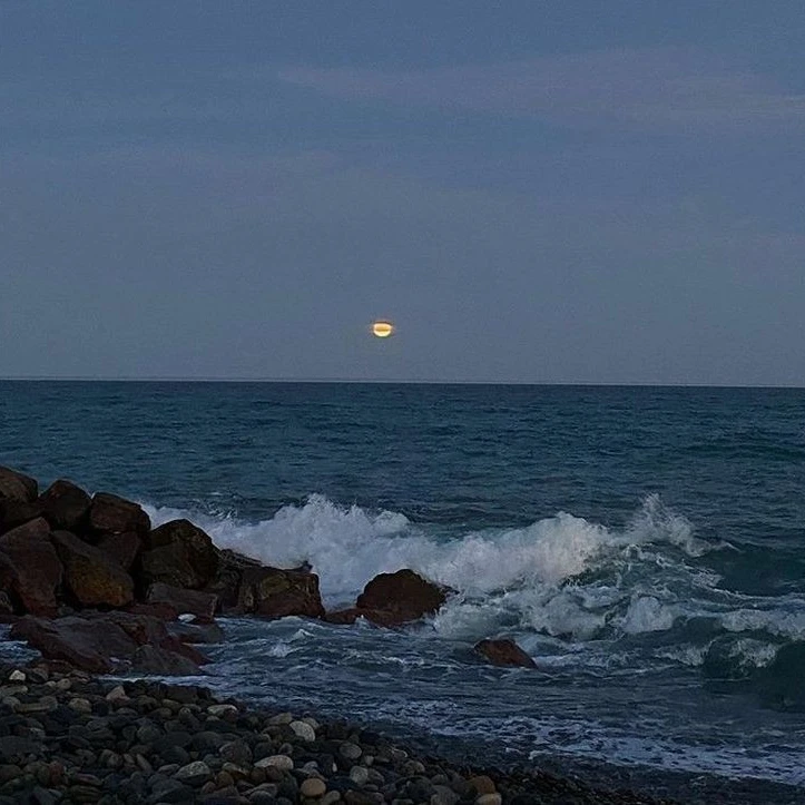 김 준구