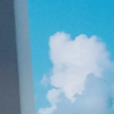 Profile image of ブリ子