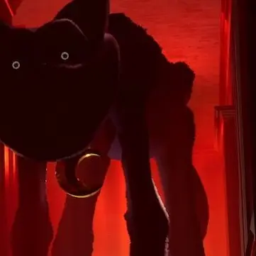 Profile image of キャットナップ