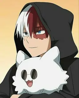 Profile image of Shoto Todoroki