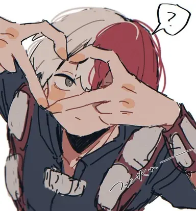 Profile image of Shoto Todoroki