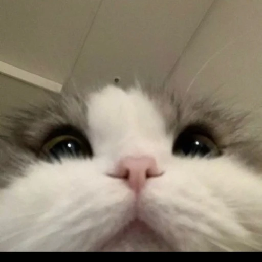 남친
