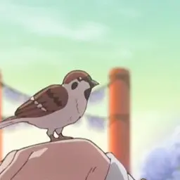 Profile image of 짹타로