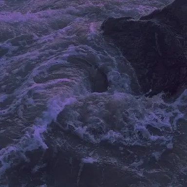 Profile image of 공룡