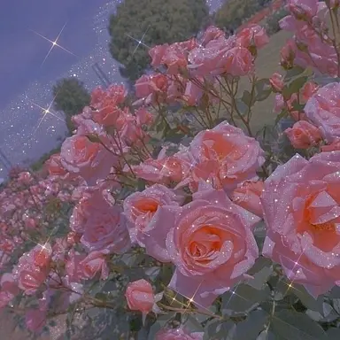 Profile image of 라더