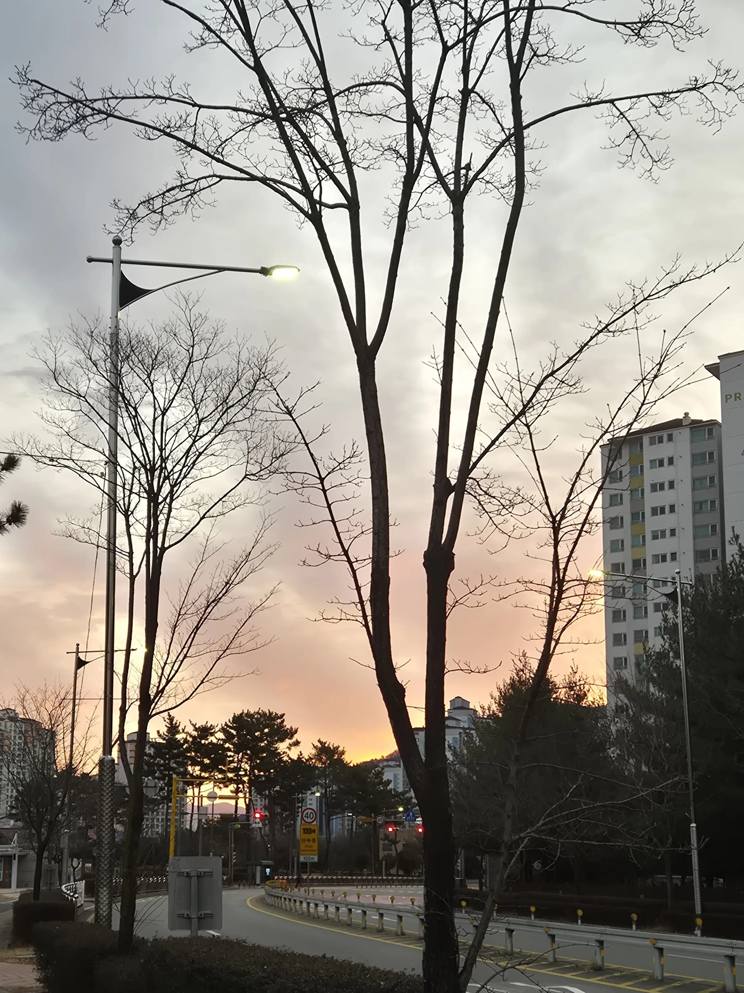 IdleAnise7320의 우채운