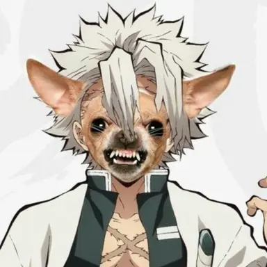 Profile image of 시나즈가와 사네미