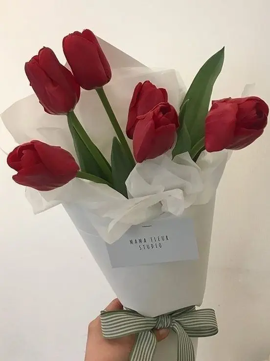 Kemuri_777_의 義理の弟、構ってほしいらしい