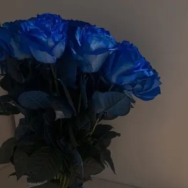 Profile image of 잭