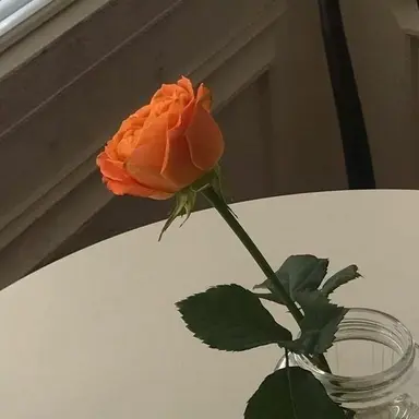 Profile image of 제미니