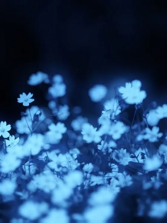 LiveStem9074의 學幽譚