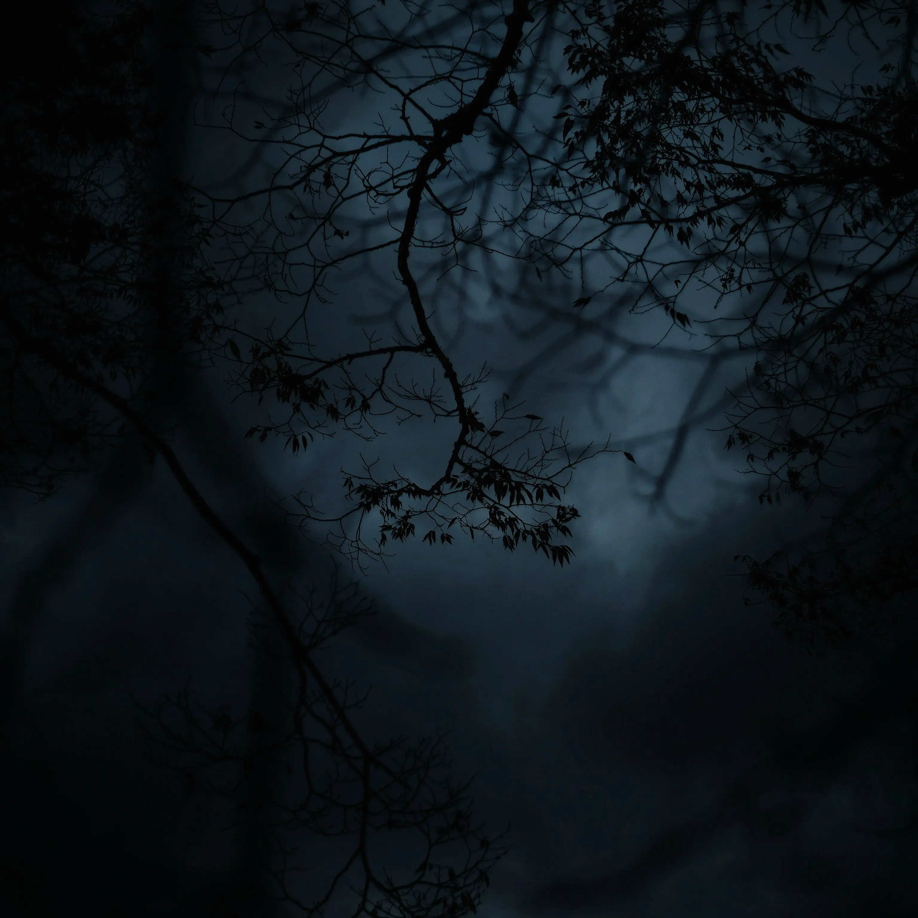 bubblebee의 Erlkönig