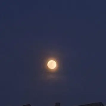 Profile image of 집사