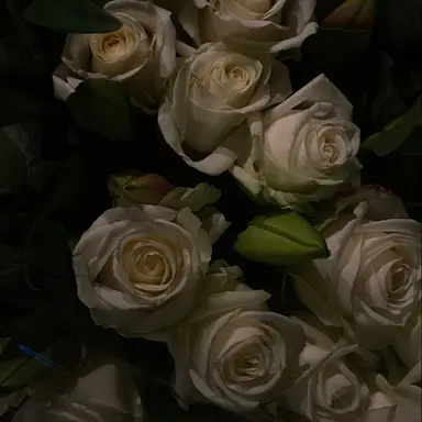 Profile image of 테오