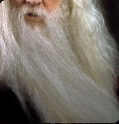 Profile image of Albus dumbledore