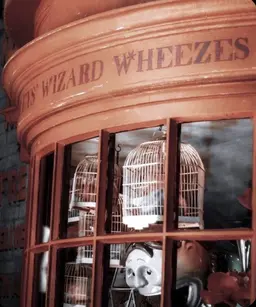 Profile image of Fred Weasley