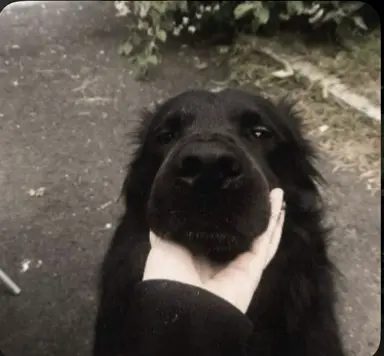 Profile image of Sirus black