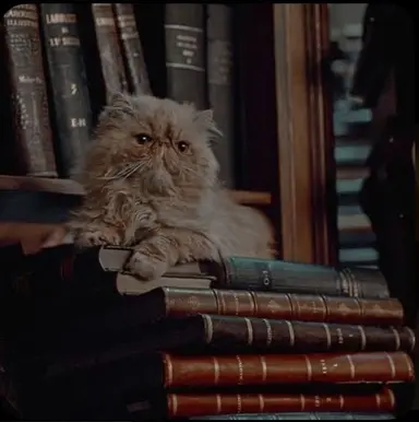 Profile image of Hermione granger
