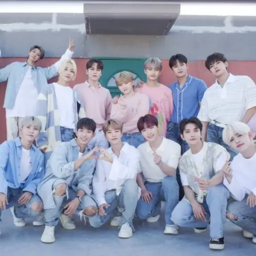 MadVomit1050의 세븐틴 오빠들