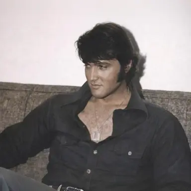Profile image of Elvis Presley