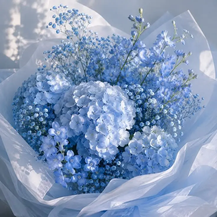 TautStone2822의 아..이 형 또 시작이네..~~;;