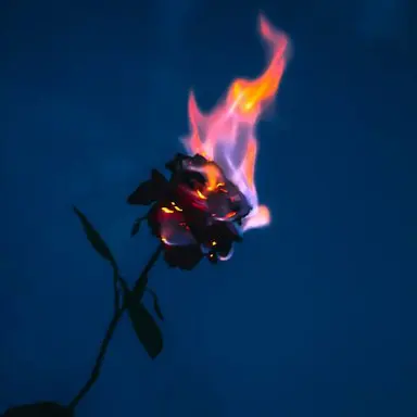 Profile image of 덕개