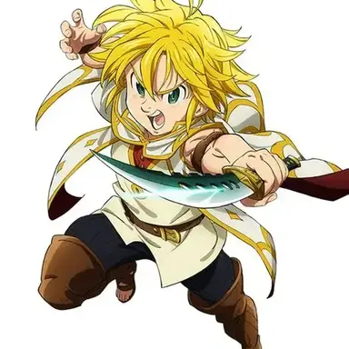 Profile image of メリオダス