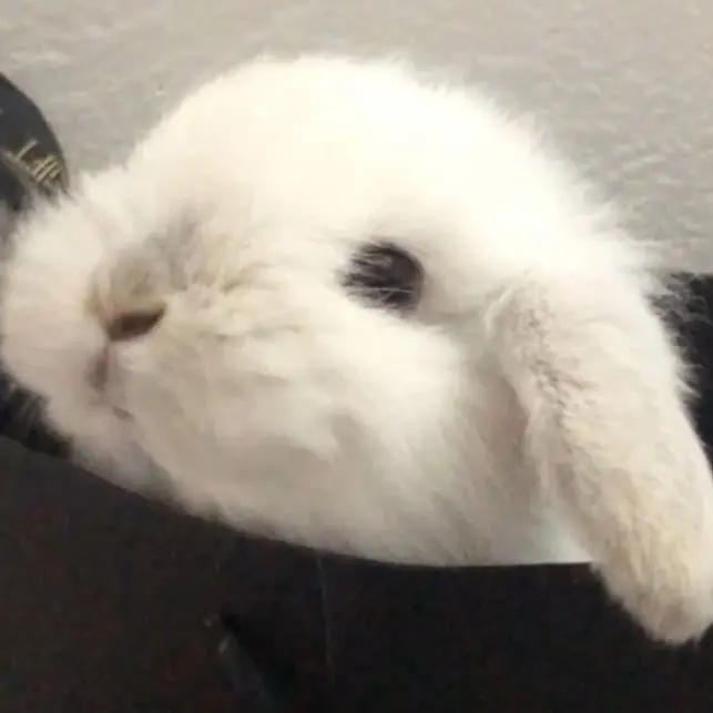 GISELLE_KARINA의 김민정