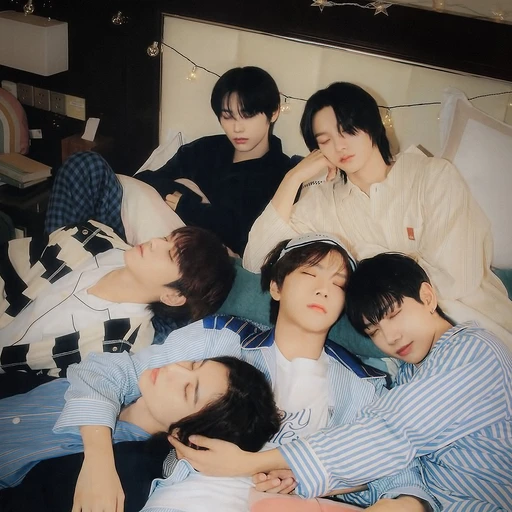 보넥도