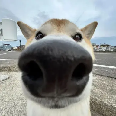 Profile image of 영석