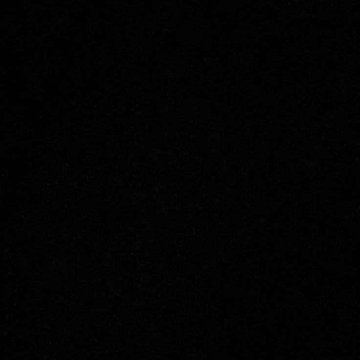 임수연
