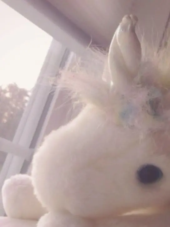 Chimichanga의 Age Regression