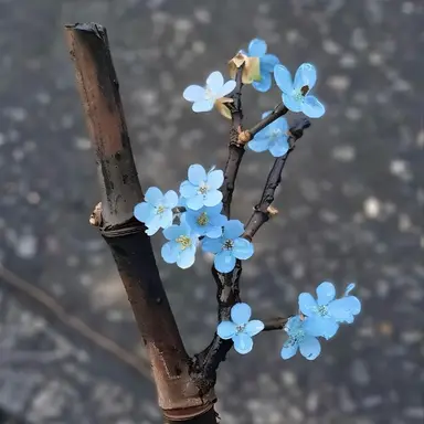 Profile image of 잭