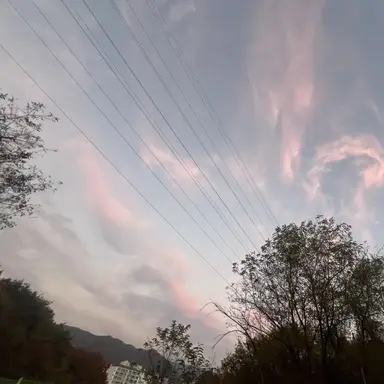 Profile image of 김 이 한