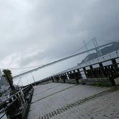 Profile image of 김동현