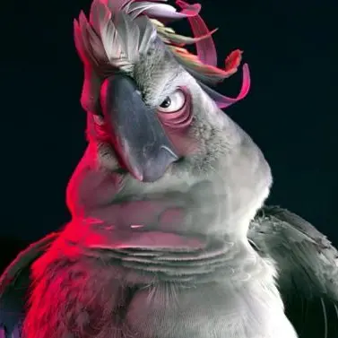 Profile image of Nigel