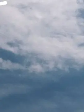 fjsw의 青夏