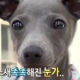 yeonaa의 박원빈