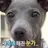 박원빈