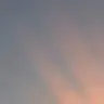 Profile image of SVT
