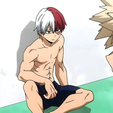 Profile image of Shoto Todoroki