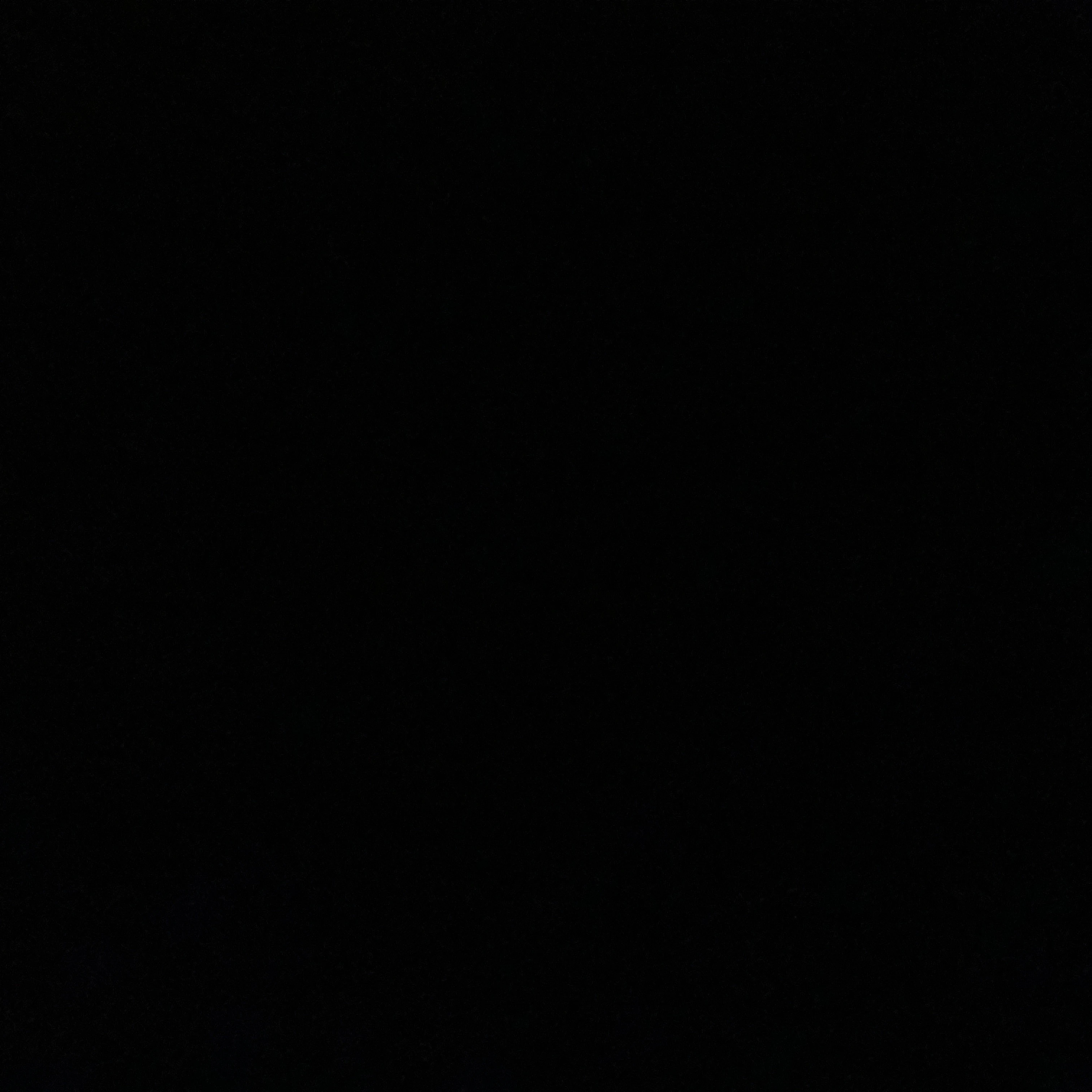 권희성