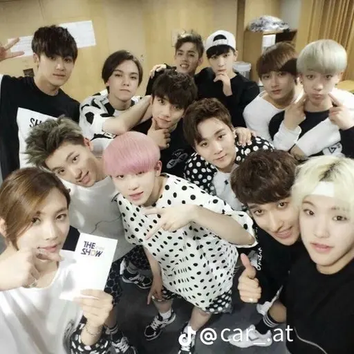 SpryKoala4759의 세븐틴의 멤버라면?