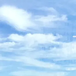 sikuteruzu의 青木いっせい