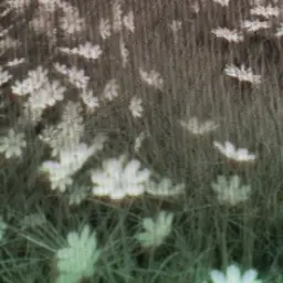 134340.의 하 나 하 키 병 .