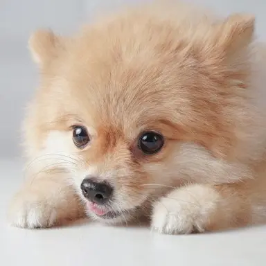 Profile image of 누리