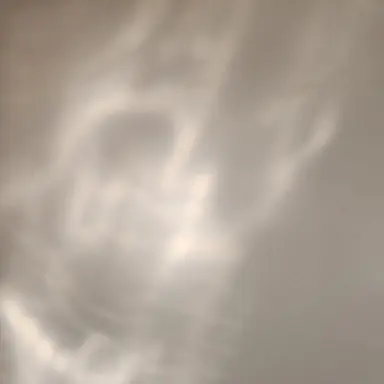 Profile image of 테오도르