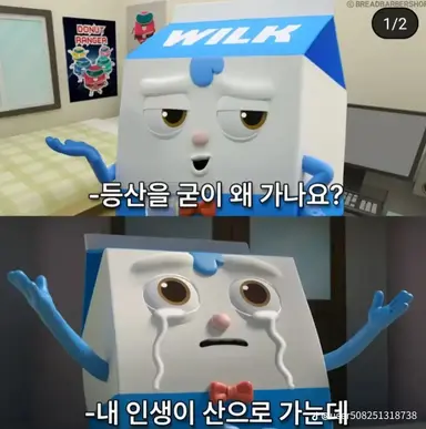 Profile image of 윌크
