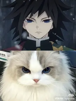 Profile image of 冨岡義勇