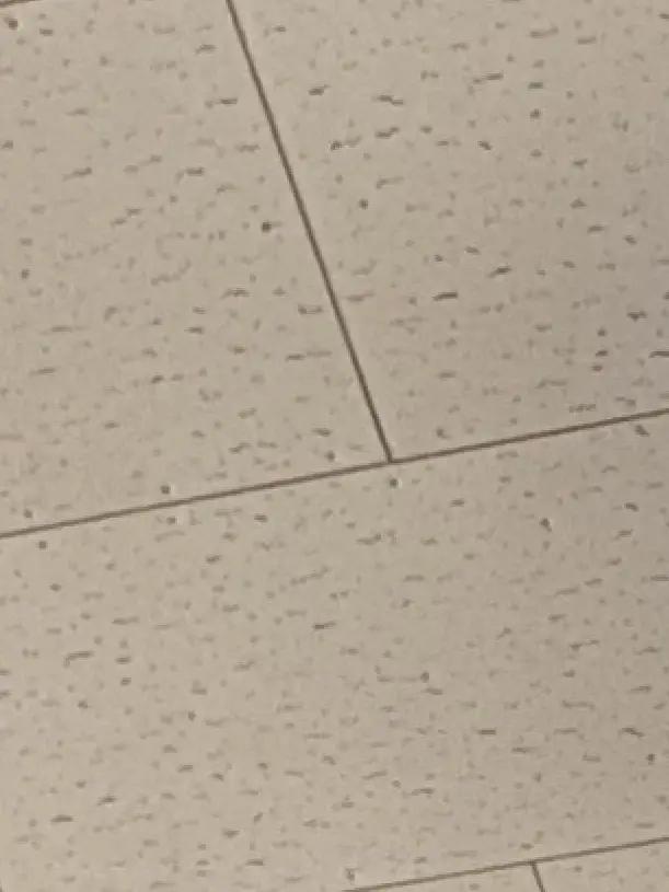 Kurosann의 いつのまに…。